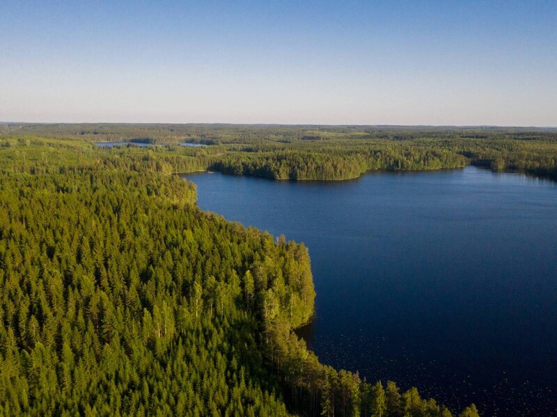 Metsä Board scoort 91/100 (Platinum) in EcoVadis-beoordeling